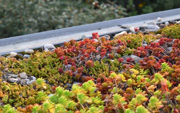 the cost of Meadle green roof installation