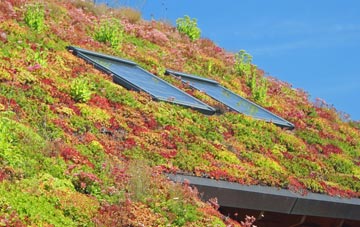 Meadle living roof systems